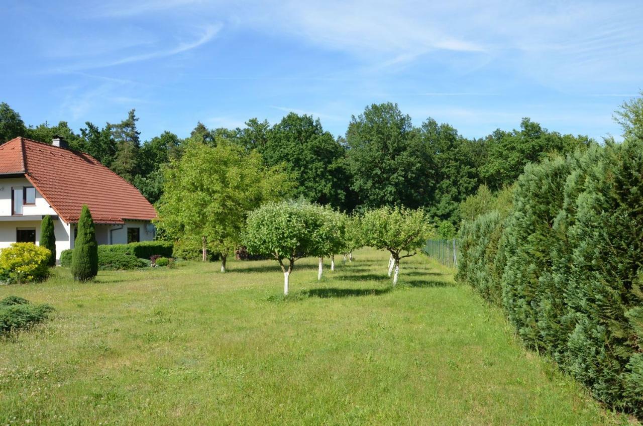 Kwatery Przy A4 Dabrowa Boleslawiecka Exterior foto