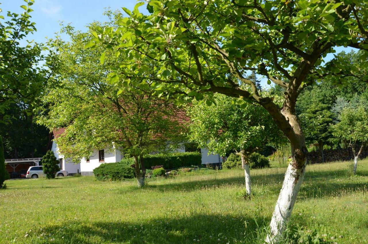 Kwatery Przy A4 Dabrowa Boleslawiecka Exterior foto